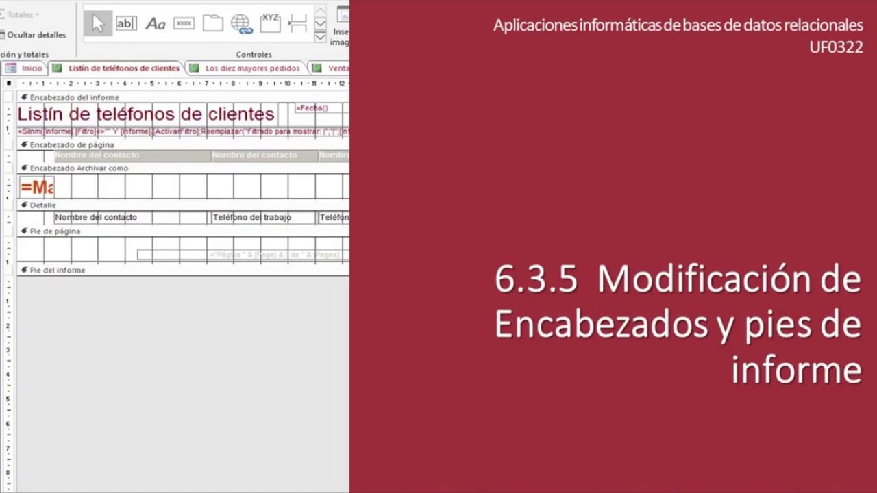 6.3.5 Modificación de Encabezados y pies de informe con controles