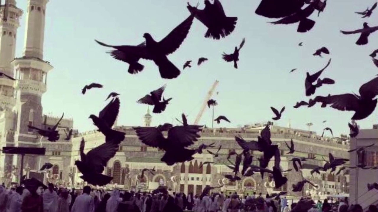 يا مكه يابلد النور
