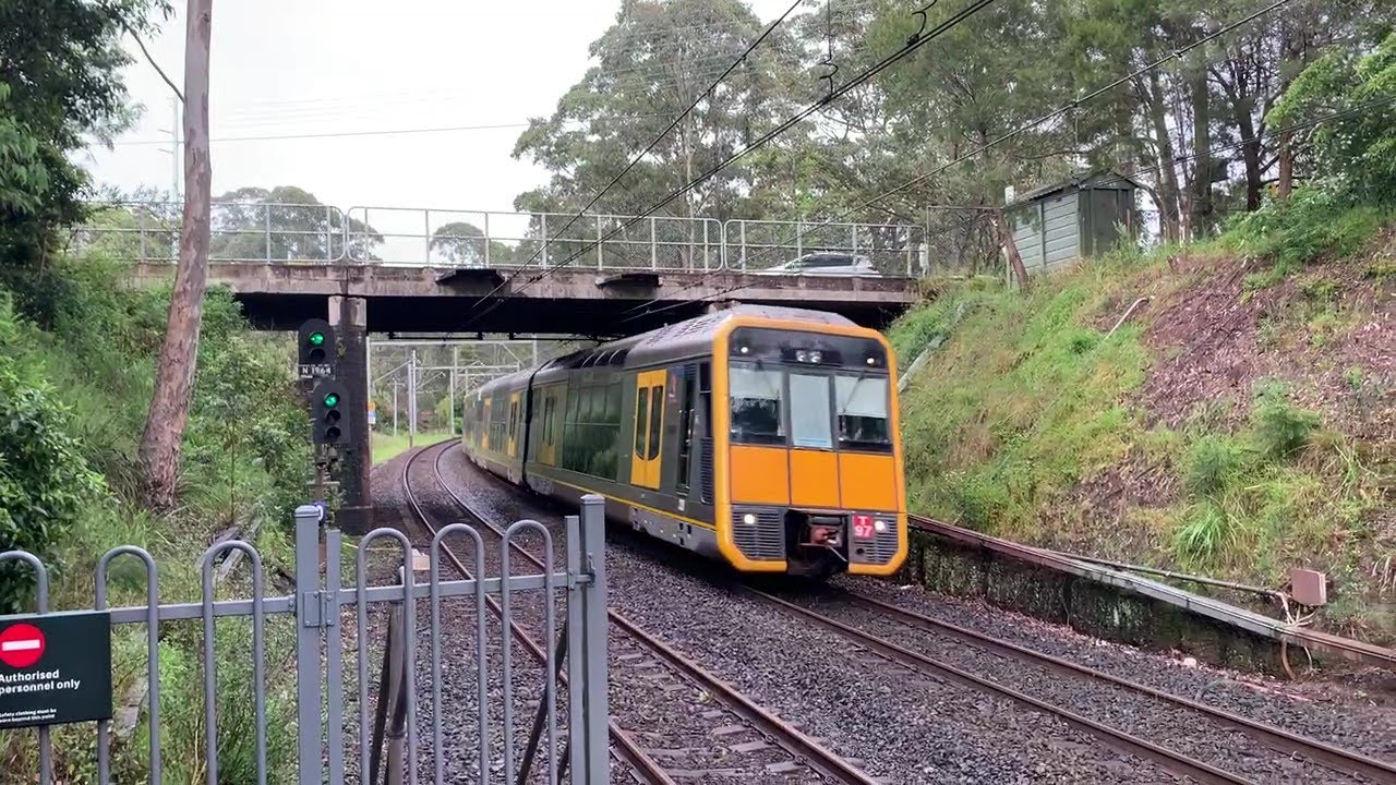 2190ST Transport Vlog 797: [Sydney Trains & NSW Trainlink Intercity] Normanhurst Train Spotting