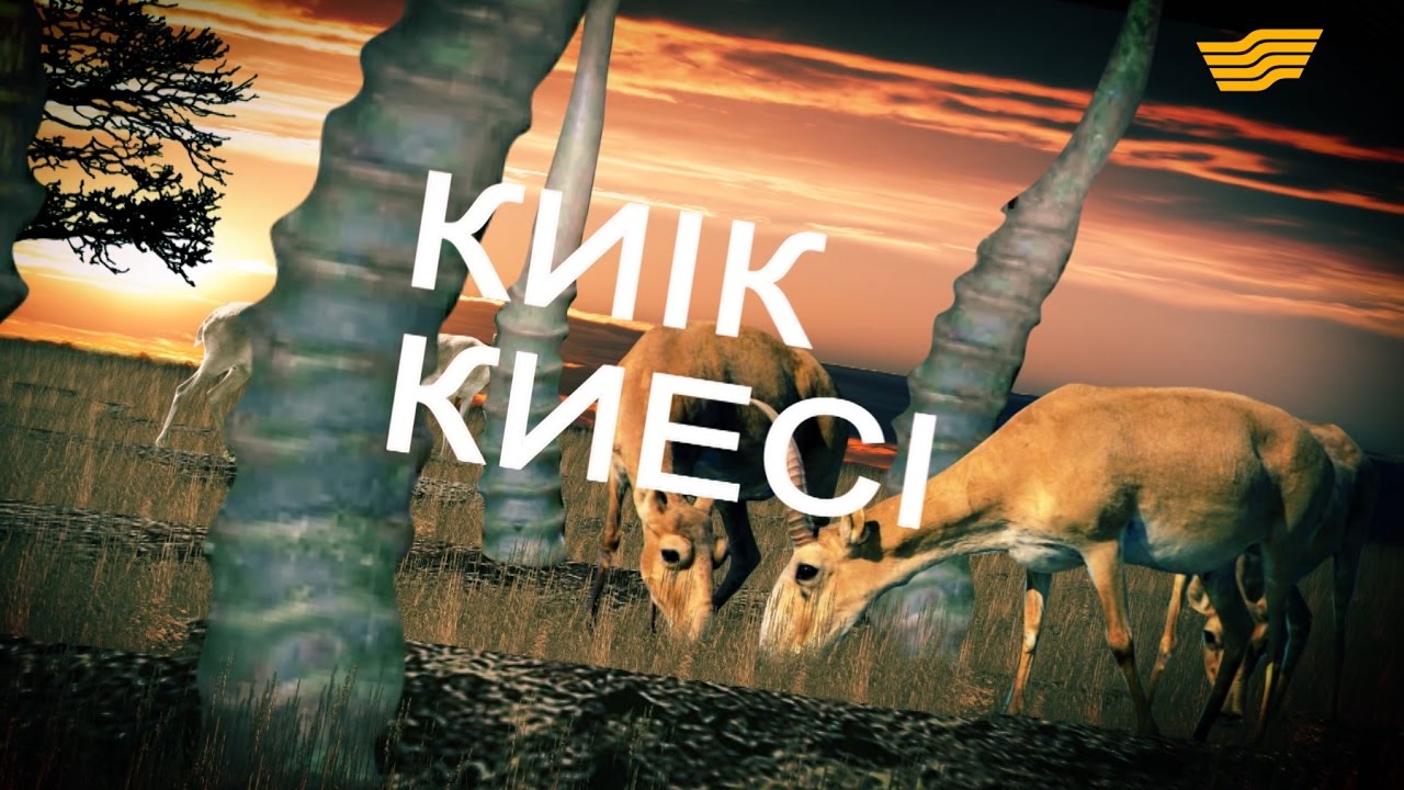 «Арнайы хабар». Киік киесі