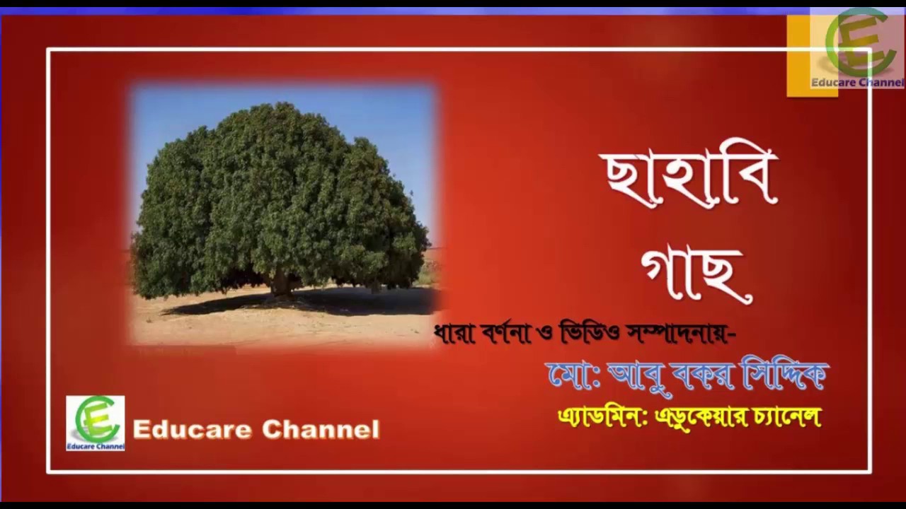 Sahabi Trees - A wonderful sign in the history of Islam. (সাহাবী গাছ):