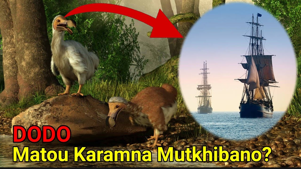 Dodo Matou Karamna Mutkhibano ?