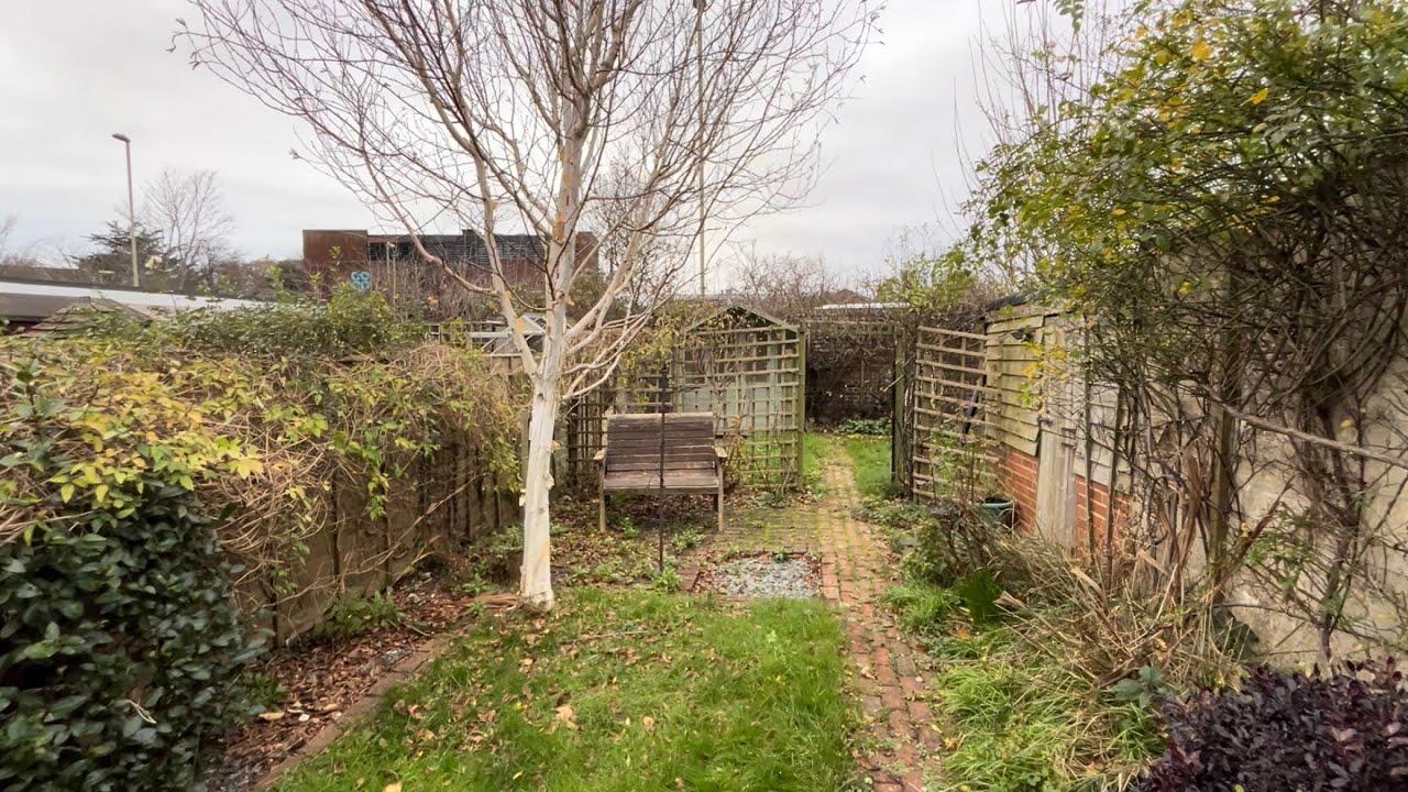 Epic Tidy up of Homeowners Back Yard (Sadly Tree had to Go!😔)