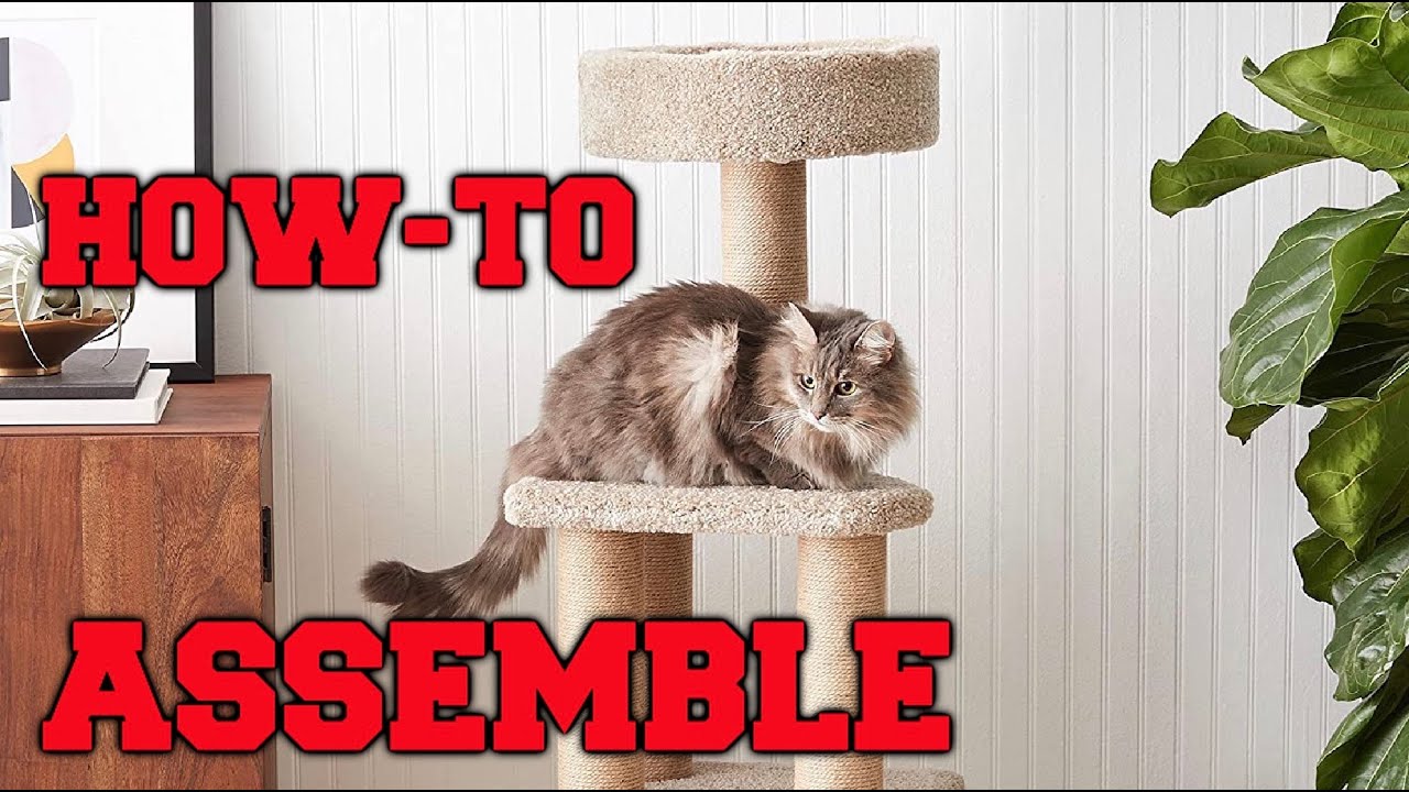Amazon Basics Indoor Cat Tower (ASSEMBLY)