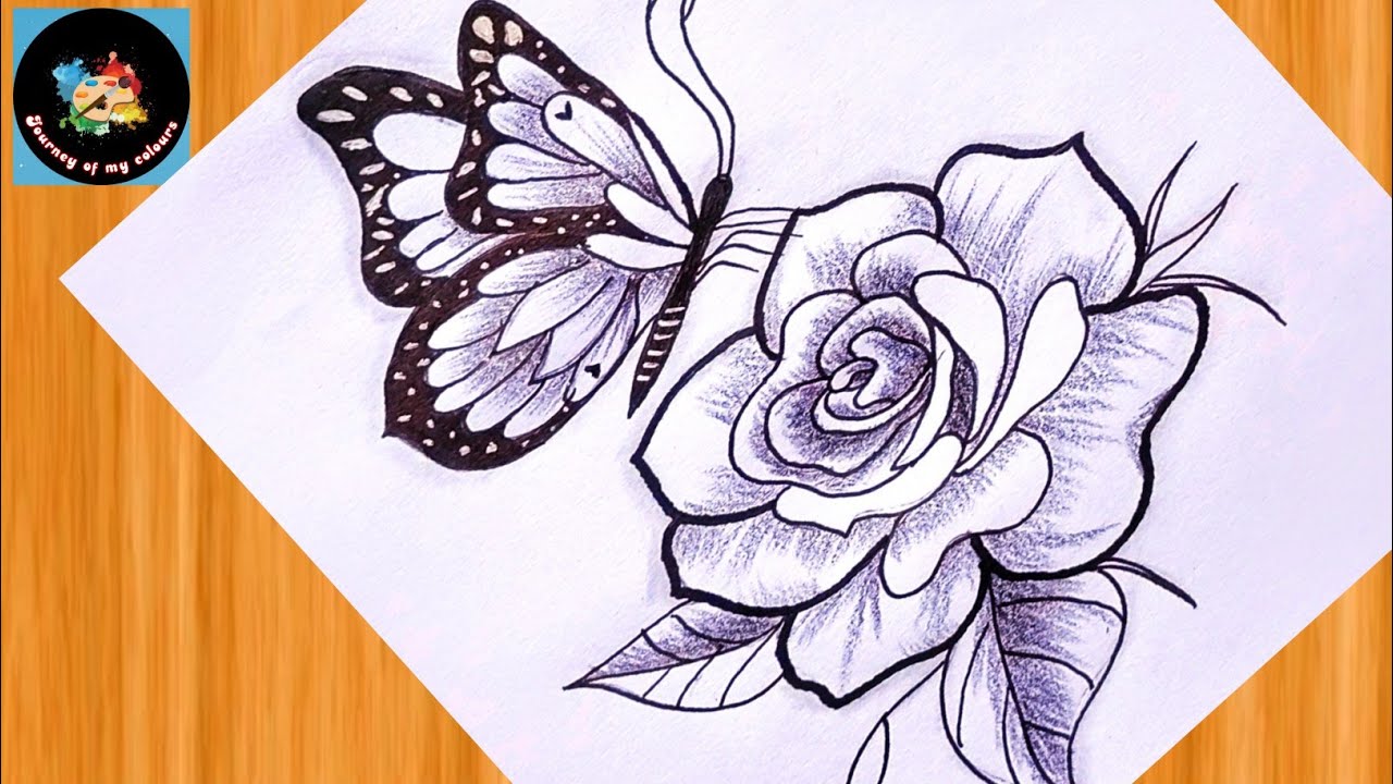Beautiful Flower🌹and Butterfly 🦋 Drawing|| Rose Drawing || Butterfly Drawing|| Pencil Drawing