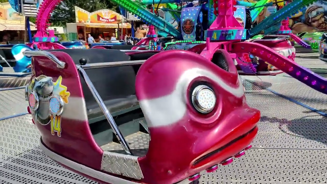 Polyp von L.Stummer (offride) aufgenommen auf dem Brarup Markt an 29.07.2024