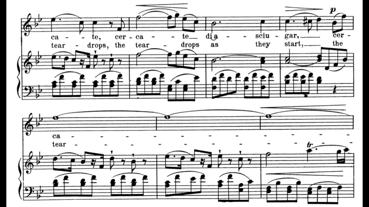 Il mio tesoro intanto (Don Giovanni - W.A. Mozart) Score Animation