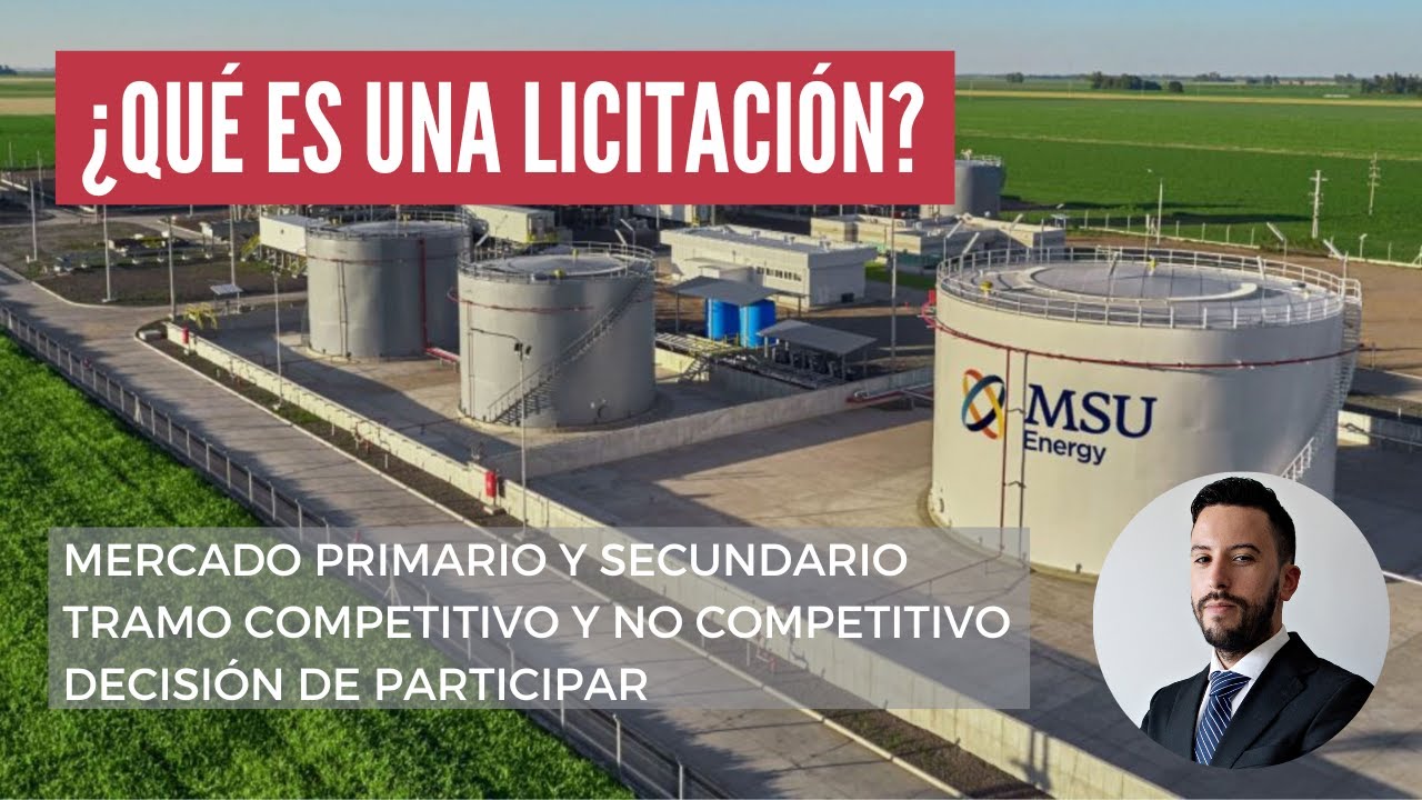 &iquest;Qu&eacute; es una Licitaci&oacute;n Primaria? - WSM Inversiones