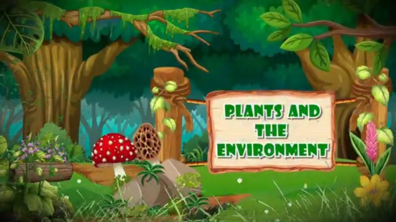 Plants and Environment for Kids - Learning about Plants - Plant education for kids - Plant Facts