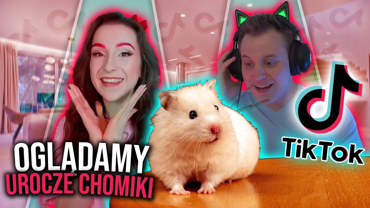 OGLĄDAMY UROCZE CHOMIKI NA TIKTOKU z @Muffinaart ​