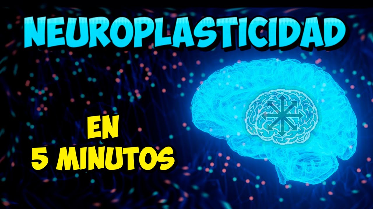 &iquest; Qu&eacute; es la NEUROPLASTICIDAD ? 🧠 CEREBRO MARAVILLOSO