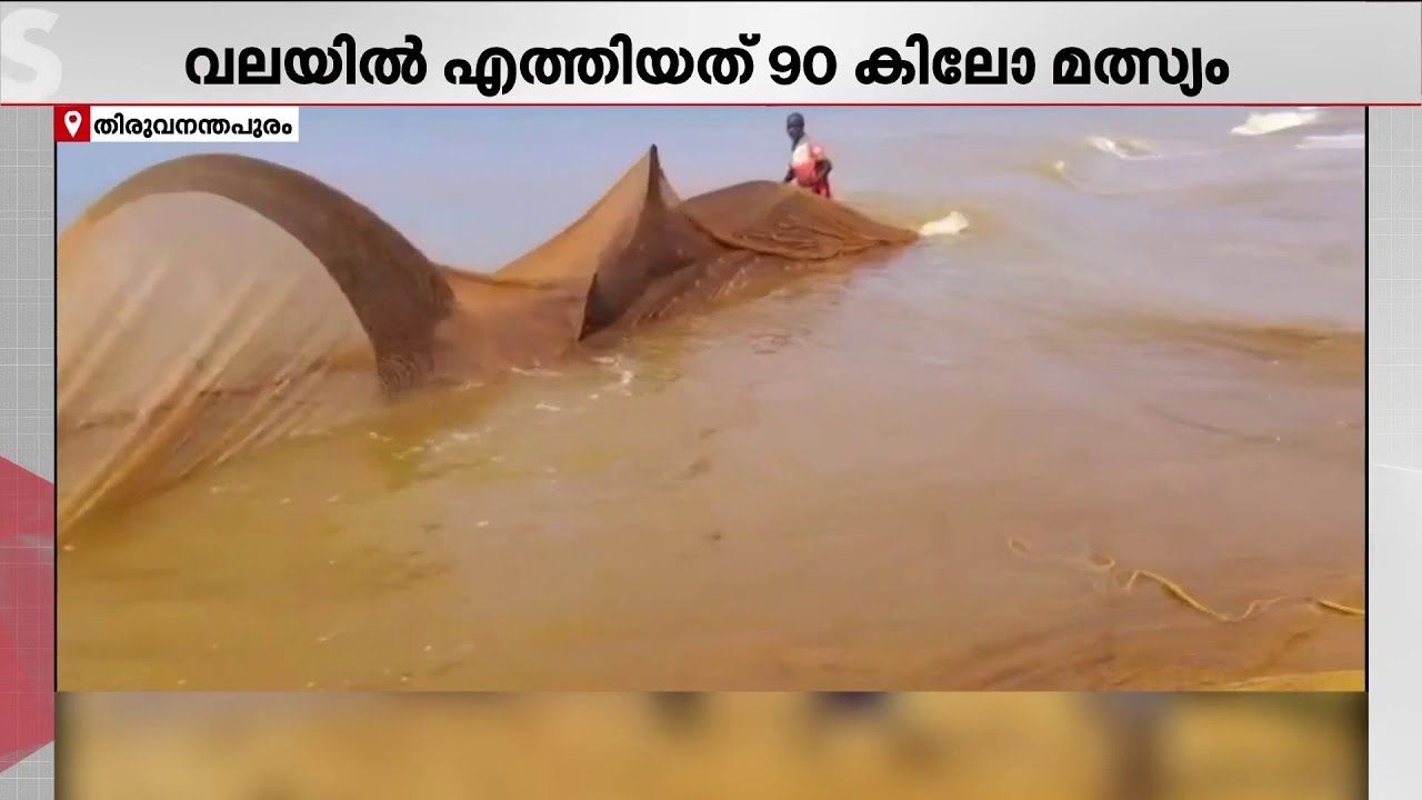 തിമിംഗല സ്രാവുകള്‍, കട്ടക്കൊമ്പന്‍; വിഴിഞ്ഞത്തെ അത്ഭുതപ്പെടുത്തിയ കാഴ്ചകള്‍