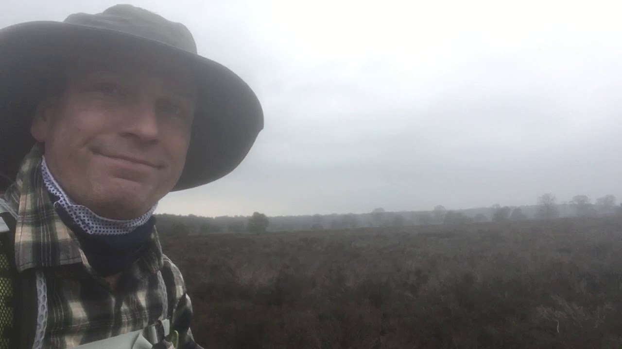 Veluwe Zwerfpad Dieren naar Loenen