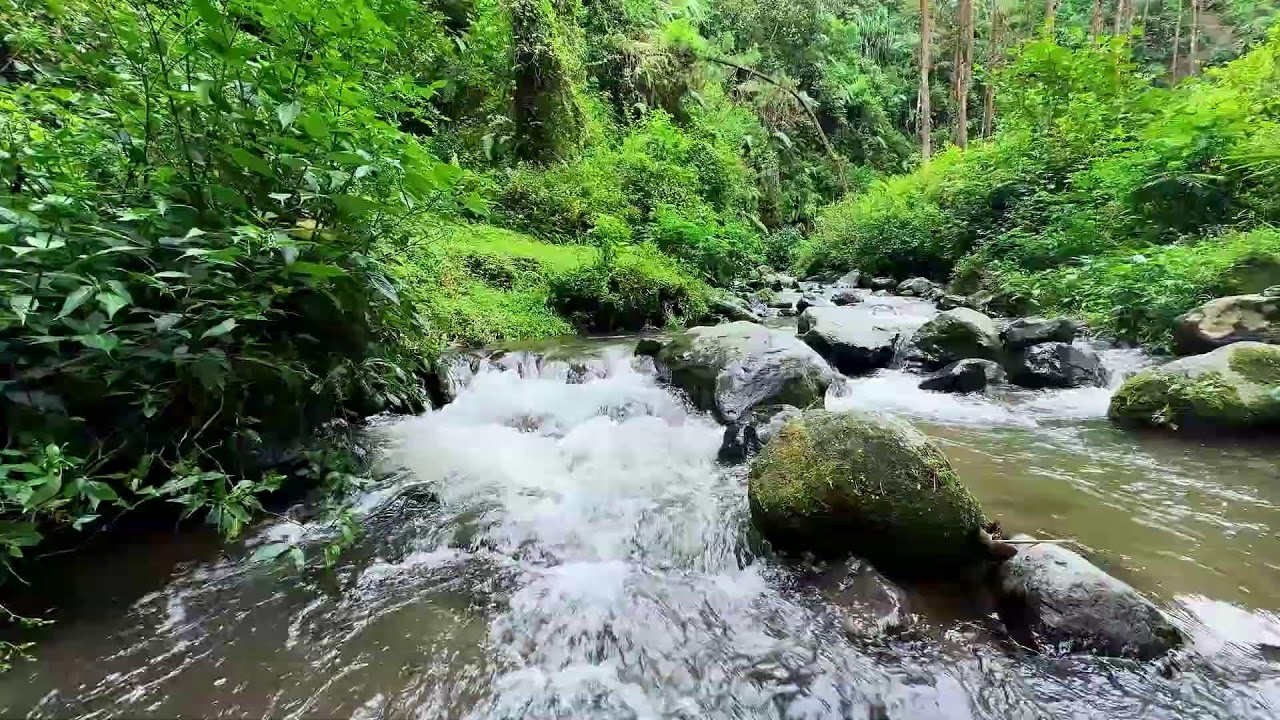 Serene river relaxation moving slow helping deep sleep clear tension from the mind