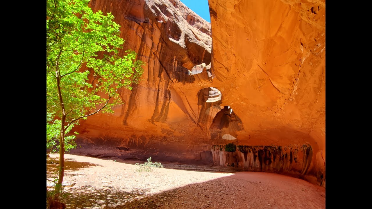 Backpacking Utah's Neon, Ringtail, and Choprock Canyons including Golden Cathedral