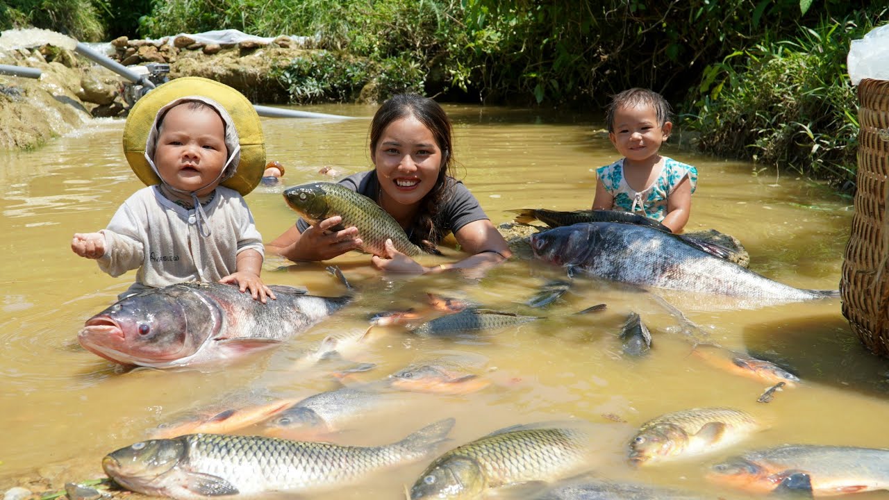 30 day and night journey with my children to catch fish - trap giant fish to sell - make dried fish