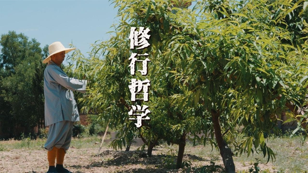 修行哲学 出家师父亲述：大寺庙的隐秘真相+3个开悟心法#极炎纪录 #在这里修行 #人文纪实