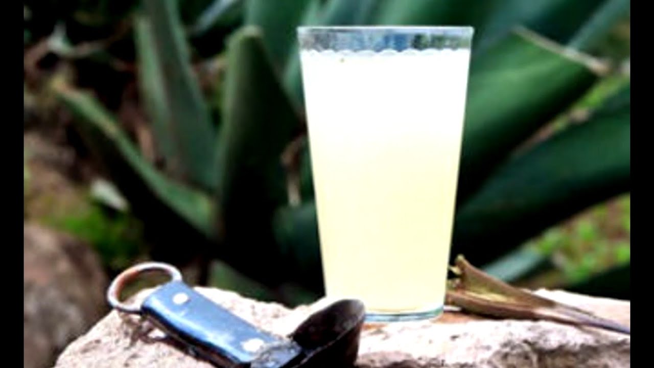 Beneficios y virtudes del pulque | Alexis Ortiz | Capítulo 2