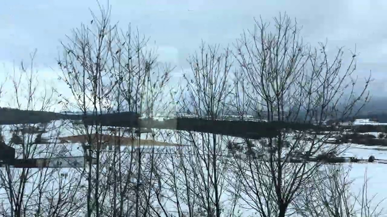 Hidden Snow Village in Germany 🇩🇪 | Train Journey to a Winter Wonderland | RawEarthForU