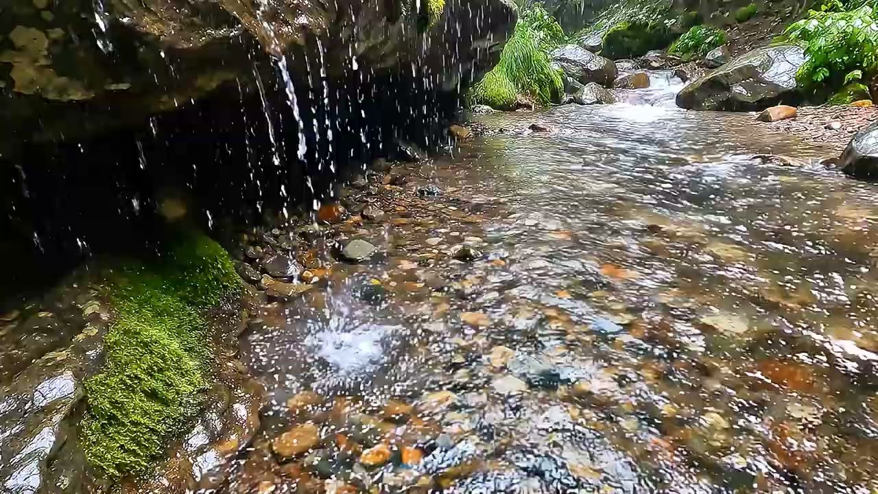 【睡眠・作業用】雨音 × 小川 × 洞窟の水滴｜癒しの環境音BGM