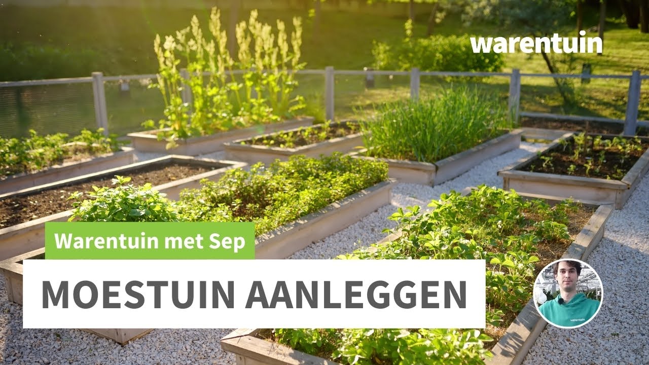 Moestuin aanleggen
