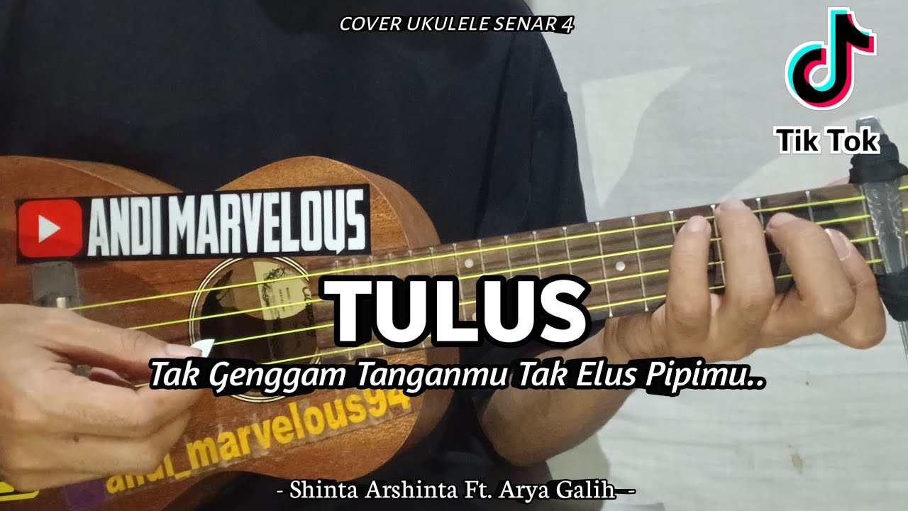 Tak Genggam Tanganmu Tak Elus Pipimu - ( TULUS ) Cover Ukulele By Andi Marvelous