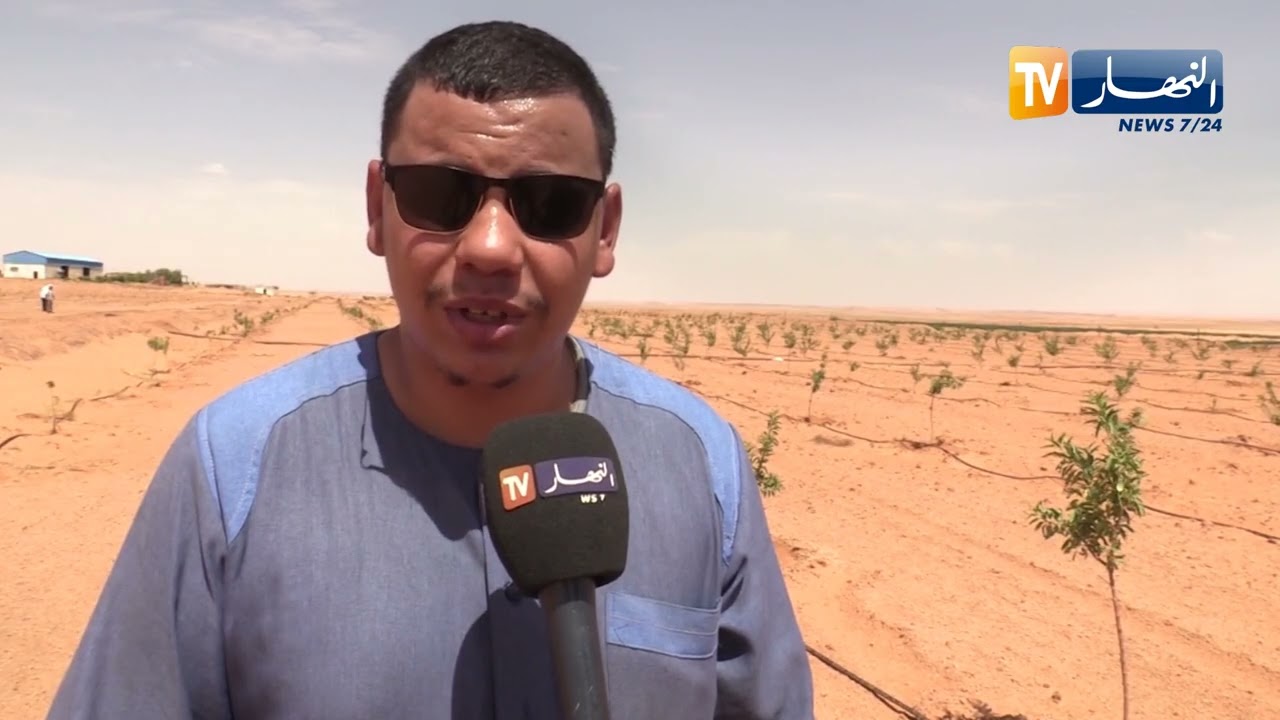 البيض: غياب الكهرباء وصعوبة المسالك يعرقلان نشاط المستثمرين الفلاحيين ببريزينة