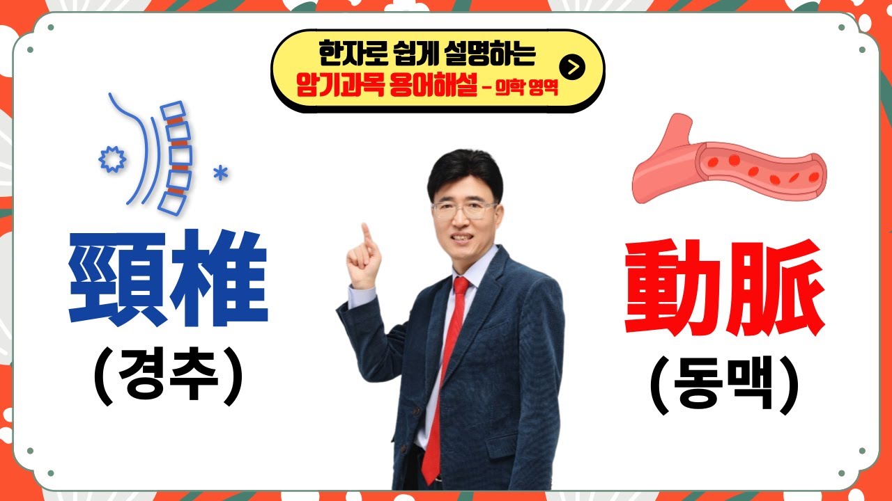 암기과목 한자학습법 어려운 용어가 쉬워지는 기적의 한자 풀이~ '동맥 경화부터 혈전'까지 한 번에 끝내기! 경추 (頸椎) / 동맥 (動脈) / 혈전 (血栓)
