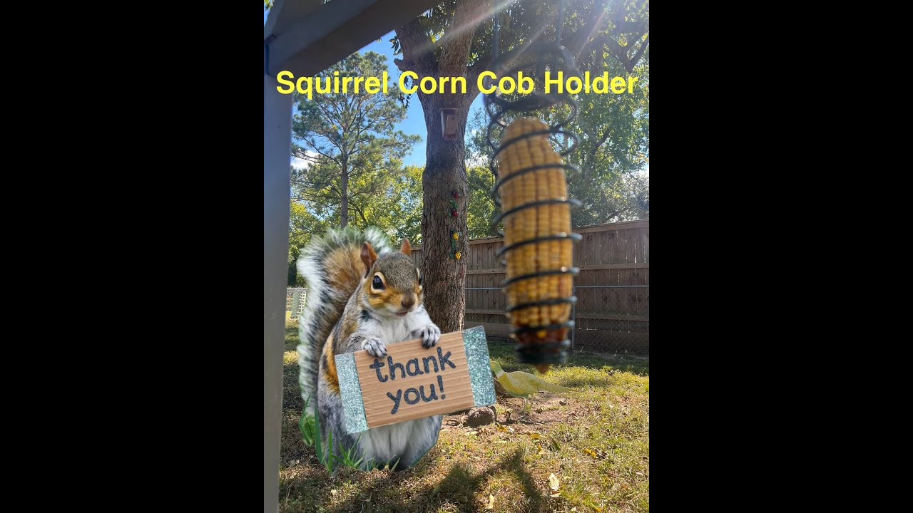 Squirrel Corn Cob Holder Feeder Hanging Fun for Backyard Squirrels 