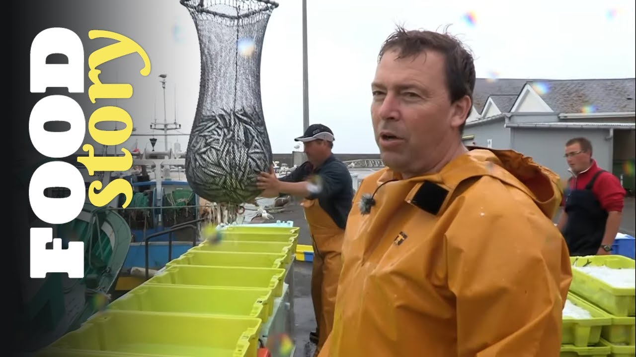 Ces marins repèrent les sardines à l'œil nu