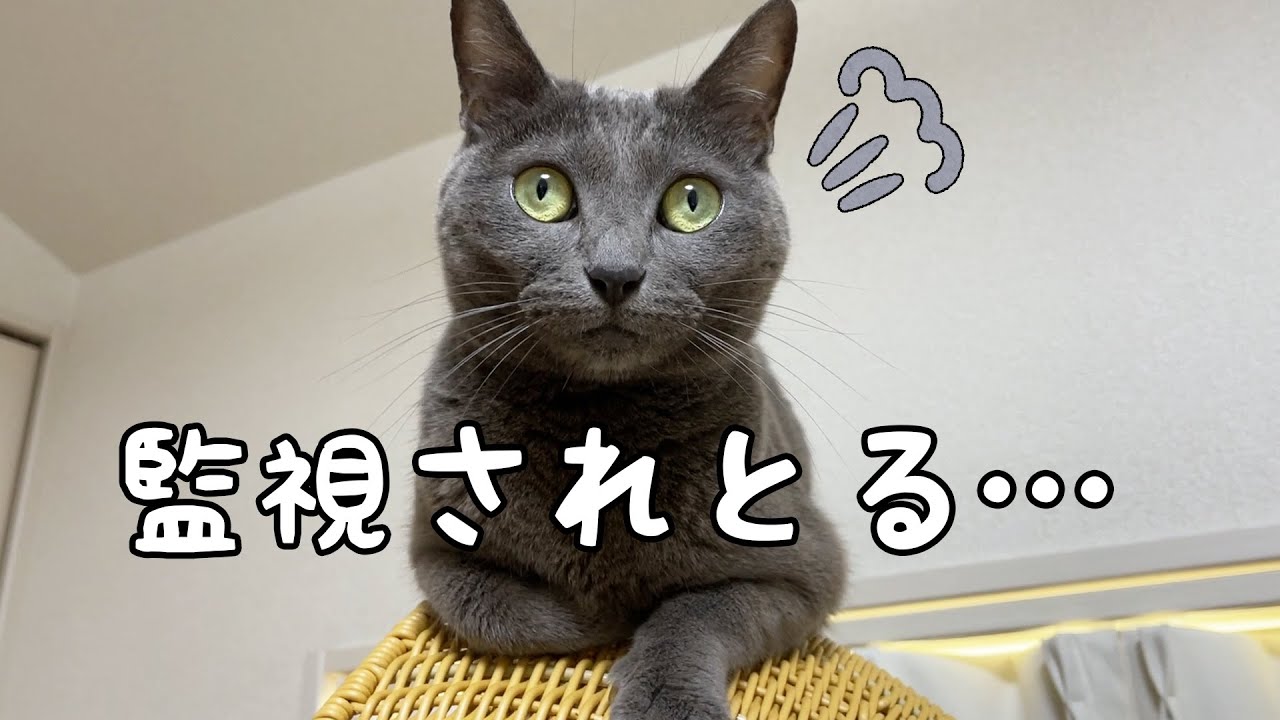 ハムちゃんが悪いことを覚えてしまいました…