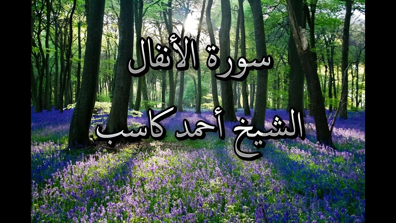 سورة الأنفال - الشيخ أحمد كاسب Surah Al-Anfal by Ahmed Kasib