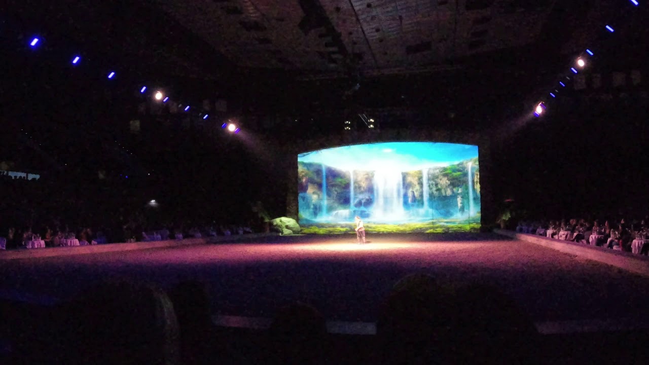 Cavalluna 2019 - Welt der Fantasie Teil 1 / 2 - Wiener Stadthalle