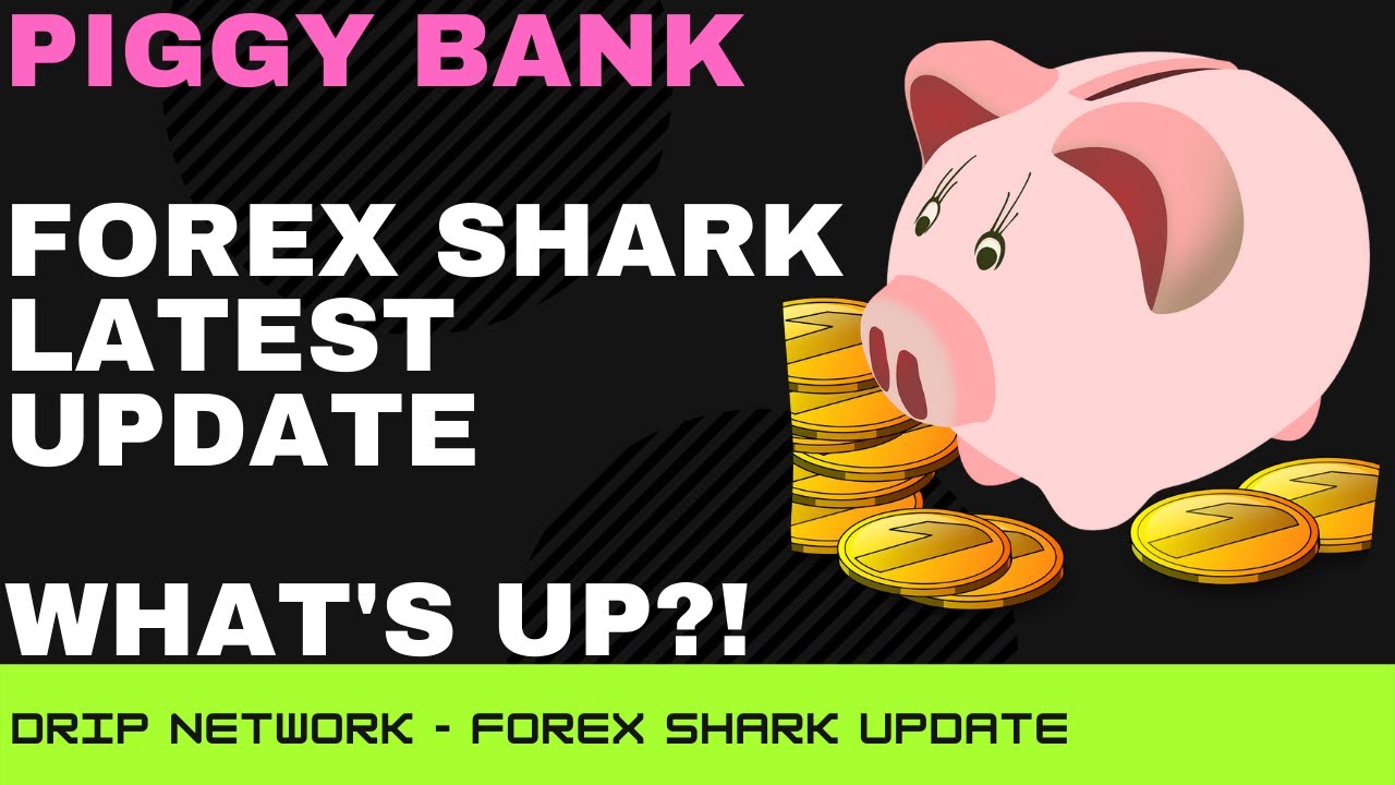 Piggy Bank - Animal Farm Update From Forex Shark