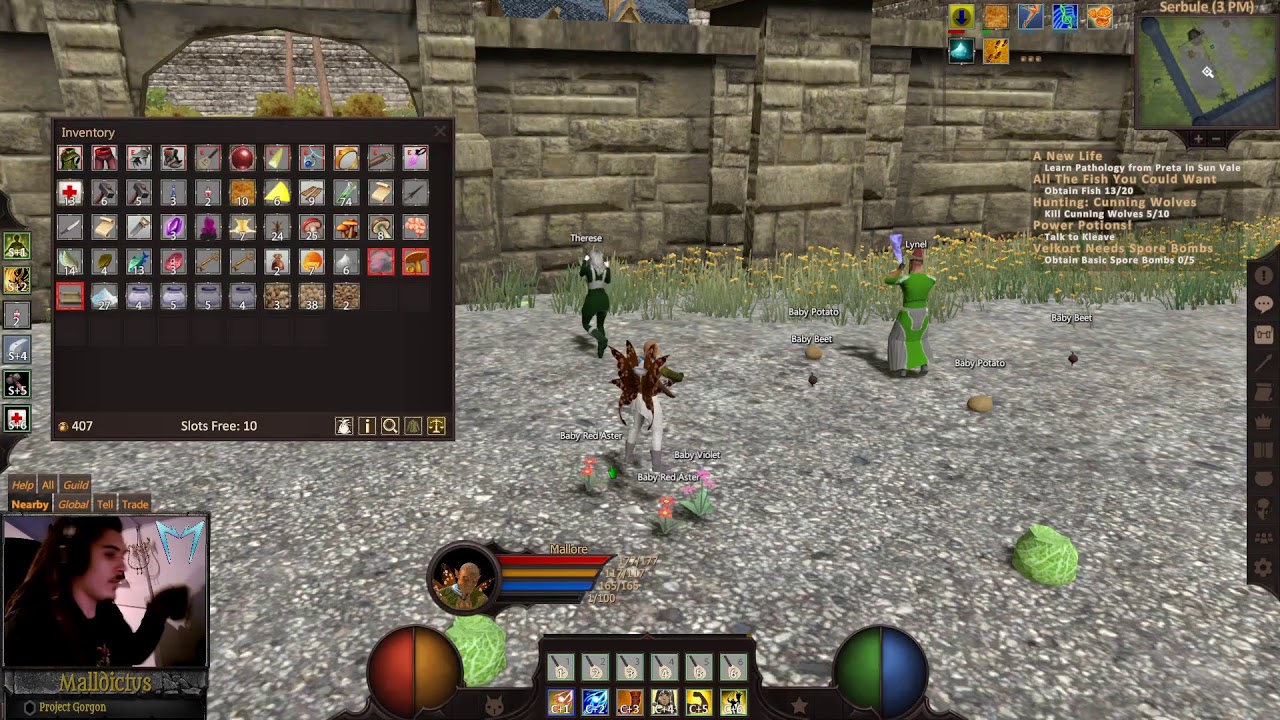 Project Gorgon. Mallore's Fairy BIG adventure!   