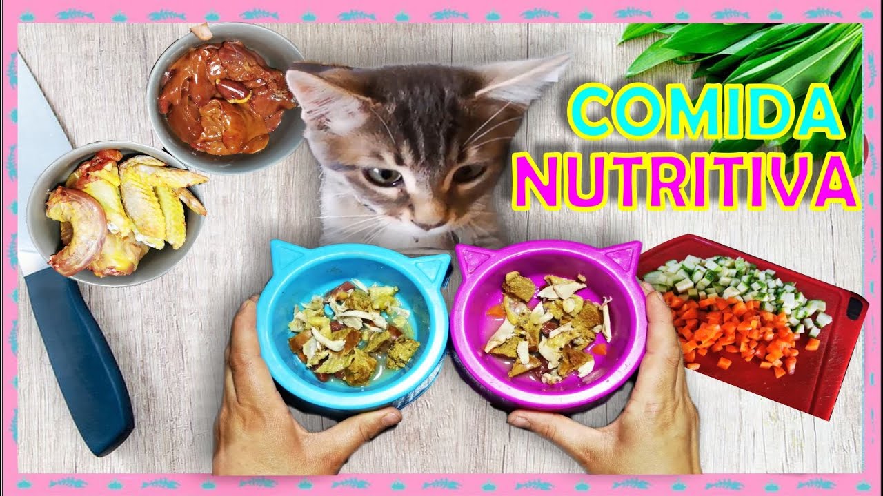 RECETA DE COMIDA CASERA🍗🥩 SALUDABLE PARA GATO🐱