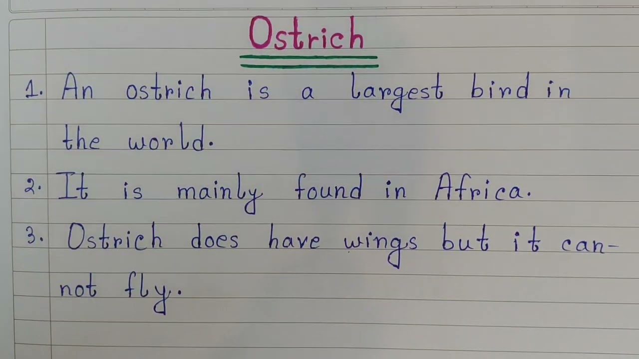 10 Lines On Ostrich | Essay On Ostrich In English | Easy Sentences About Ostrich | Ostrich