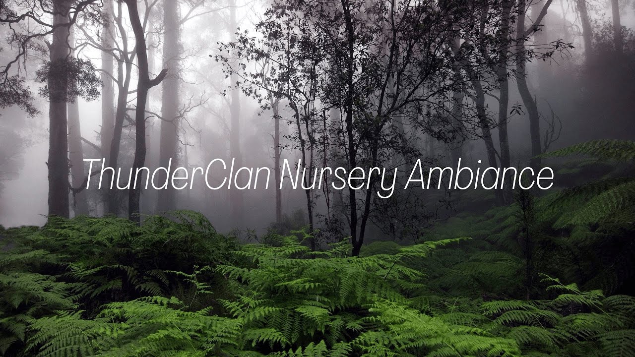 ThunderClan Nursery (w/ Rain) - Warrior Cats Ambiance Soundscape
