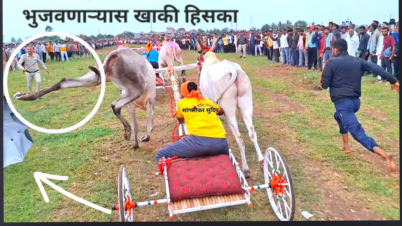बैलाला भुजवणाऱ्याला खाकी हिसका आणि बैलाचा तडाखा | चिंचली जनरल ब गट संपूर्ण पट्टा 