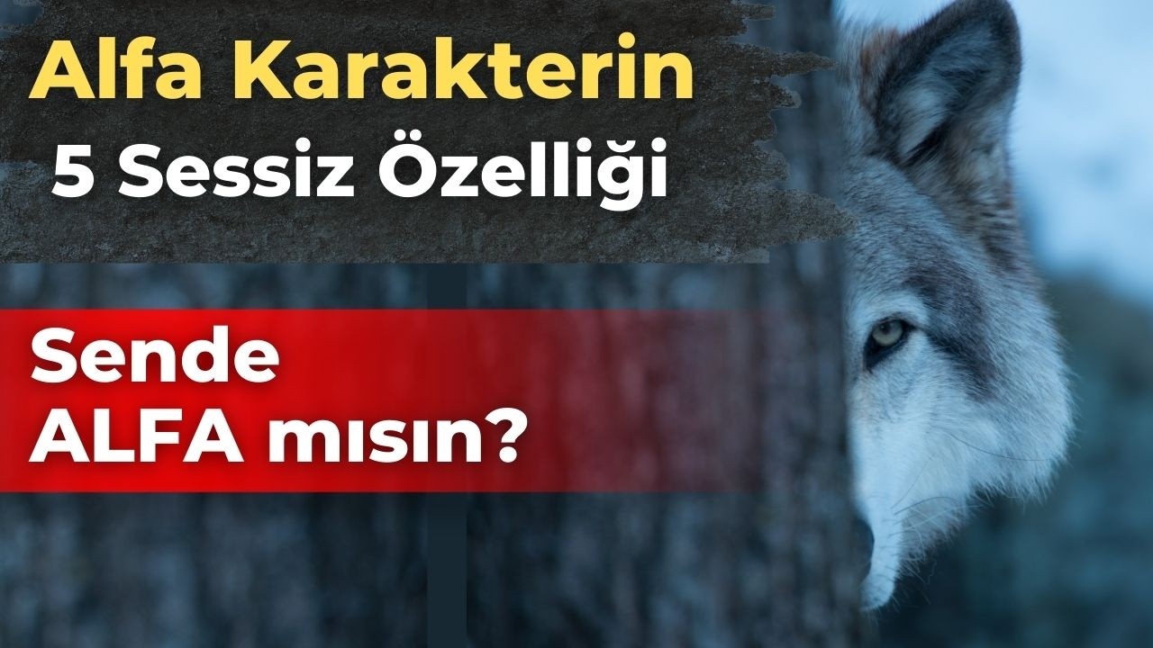 Bu 5 Gizli İşaret Sende Varsa, 