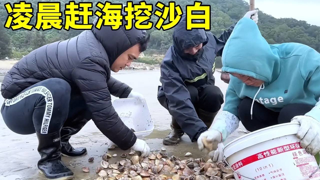 凌晨趕海遇大浪，卻遇上維哥獨自在挖沙白，一趟下來收穫滿大桶【漁小仙】
