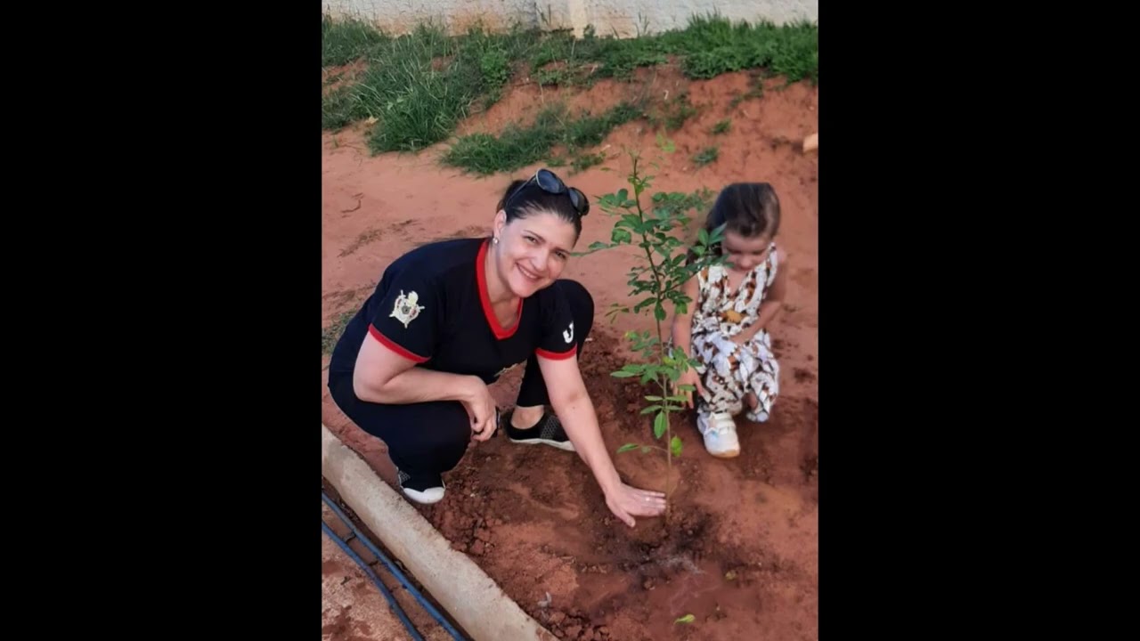 Plantio de árvores em Varpa, distrito de Tupã, S.P., Brasil 