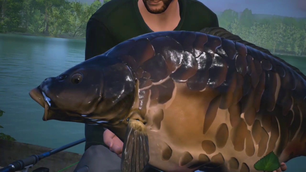Boss Fish: Big Plated (46 LBS) @ St Johns