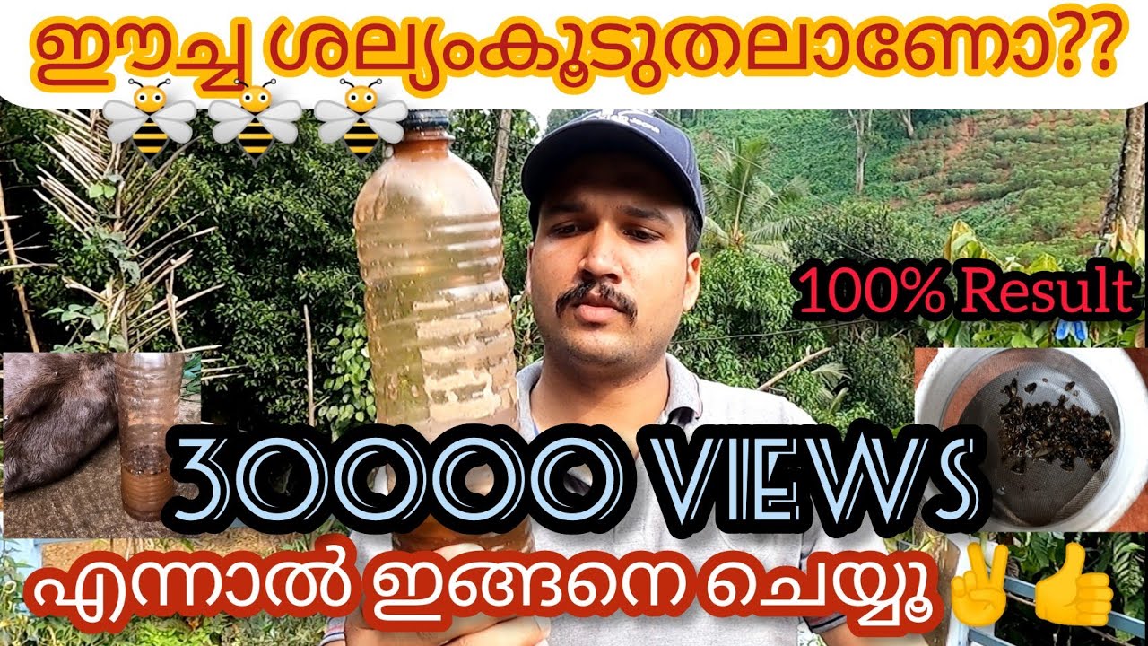 ഈച്ച ശല്യം എളുപ്പത്തിൽ എങ്ങനെ ഒഴിവാക്കാം 💯 Result 👍👍// How to easily catch a fly