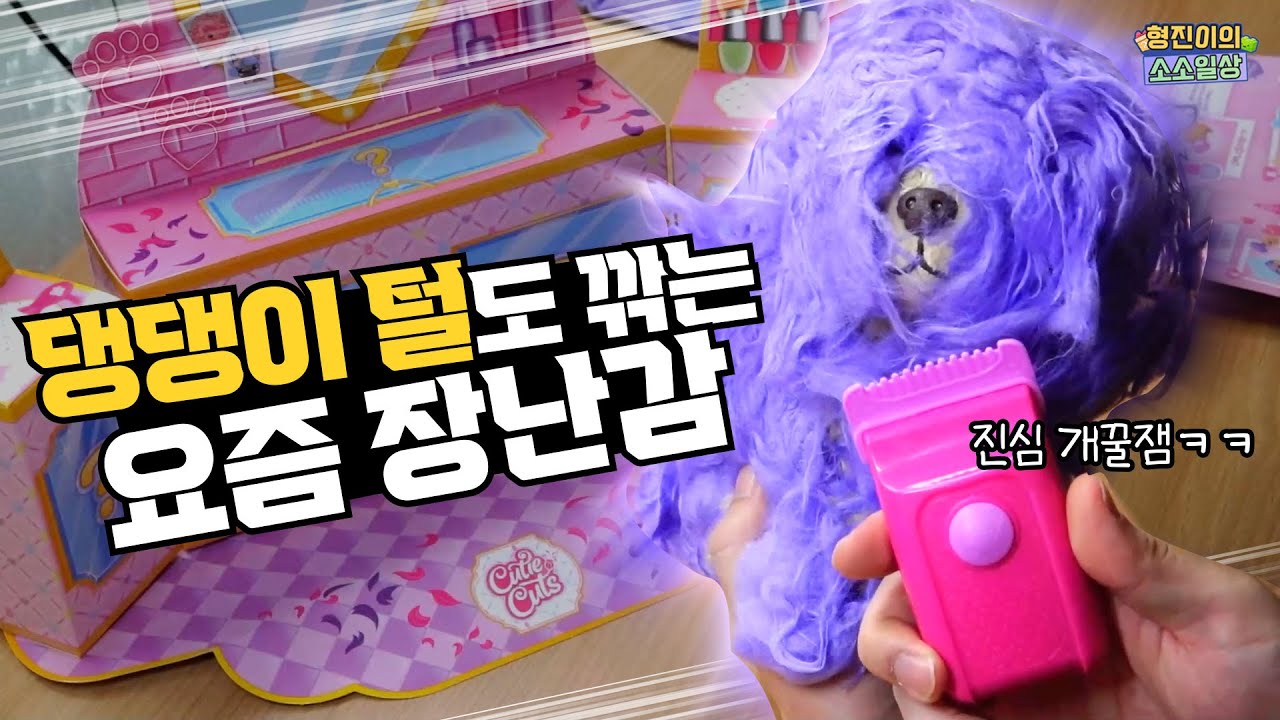 댕댕이 털도 깎아봐야 K-어린(른)이지! 동글이를 도와줘 펫미용실 리뷰 | 소소일상 SOSO1SANG