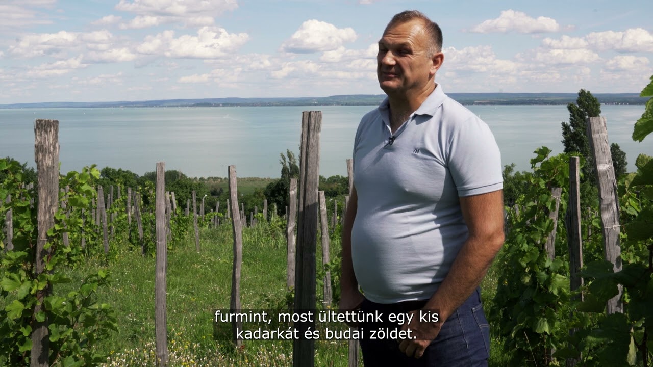 Illés Balázs -  Edvi Illés Badacsony - Badacsony