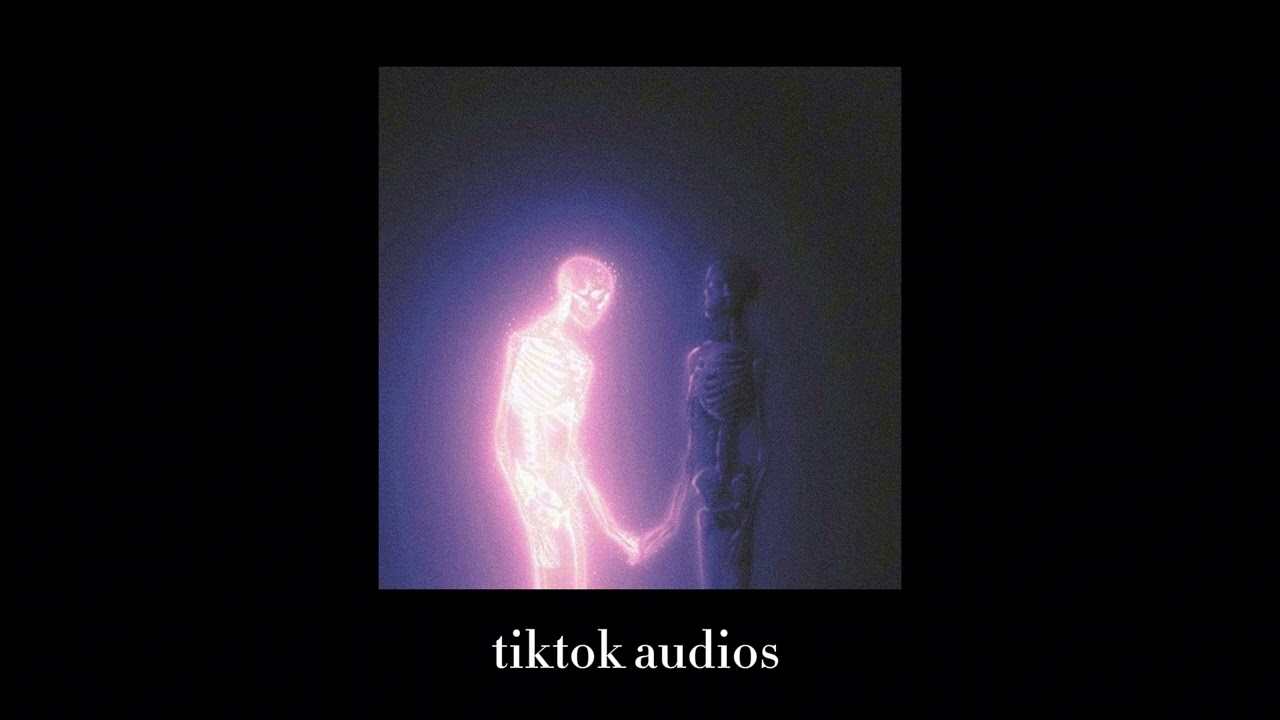 tiktok audios 169 + timestamps