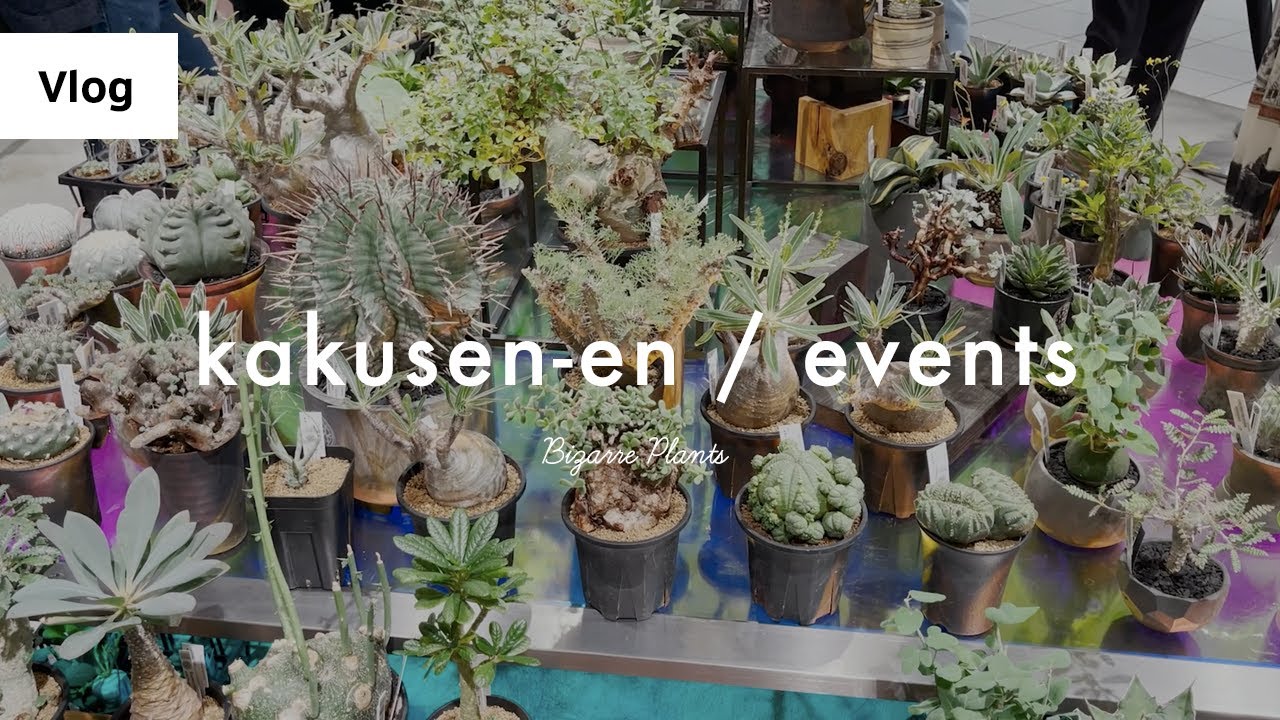 植物イベントはしご（鶴仙園、ヨネヤマプランテイション）: Vlog