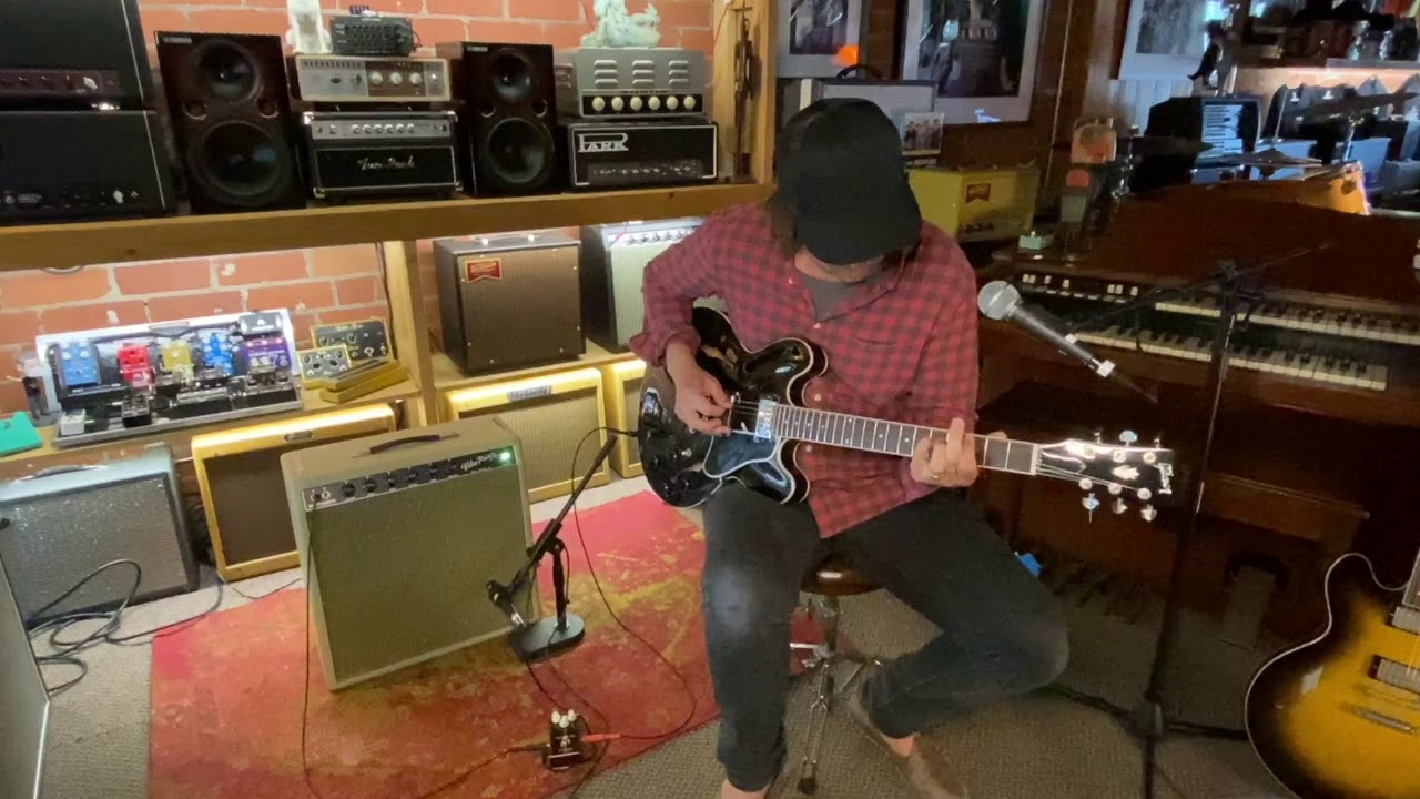 Gibson ES-335 Black Dot Neck  (2011)