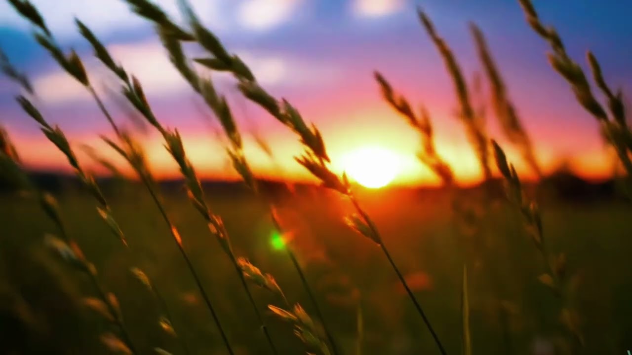 Italian 80s Instrumental Music 🇮🇹 | 1 Hour Nonstop Retro Relaxing Vibes